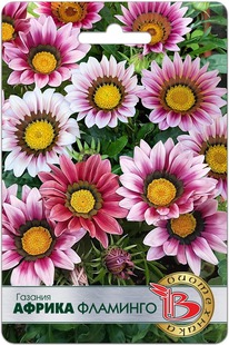 ������� ������ ��������