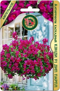 ���������� ��������� ����� F1 ��� �����