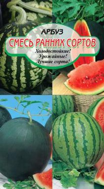 ����� ������ ������ �����