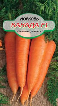 ������ F1 �������