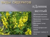 ������ ������ 0,5��