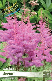 �������� �������, 2/3n