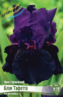 ���� ���������� ���� �������, I