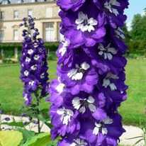 ���������� ���� ��� ���� ��, 3/5n