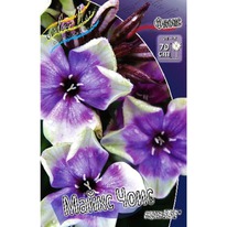 ����� Neon ����� ����, I