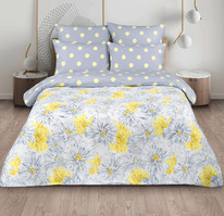 ������� ���������� ����� �� ������� ���������