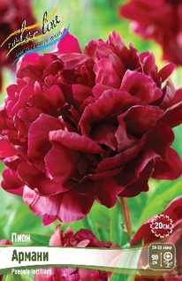 ���� ������ 2/3 n