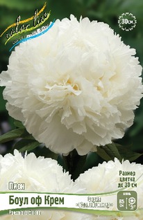 ���� ���� �� ���� 2/3n