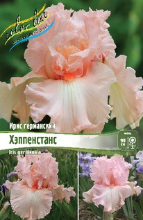 ���� ���������� �����������