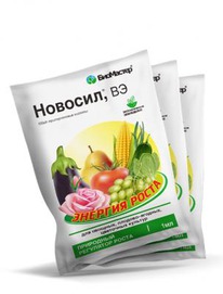 ������� 1�� ��������� ����� ��