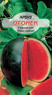 ������ �����