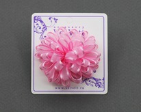 ������� ��� ����� F24977120749