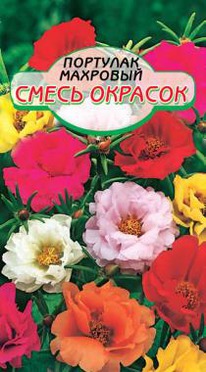 ����� ������� �������� ��������