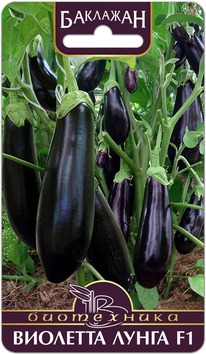 �������� �������� ����� F1