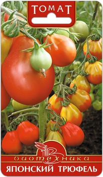 ����� �������� �������