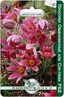 �������� ������������ ��� ���-����� ���