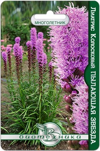 ������� ���������� �������� ������