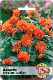 �������� ��������� ������� ����� �����