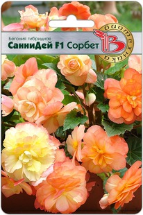 ������� ��������� ����� ��� F1 ������