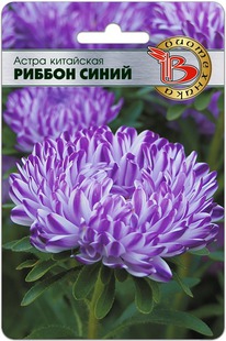 ����� ��������� ������ �����