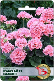 ���������� ����� �� F1 ������