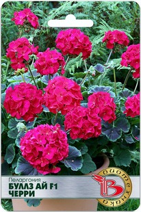 ���������� ����� �� F1 �����