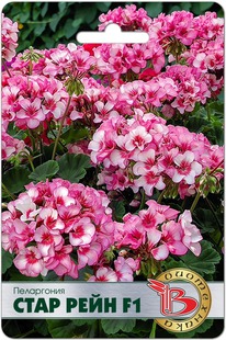 ���������� ���� ���� F1