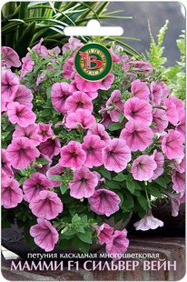 ������� ��������� �������������� ����� F1 ������� ����