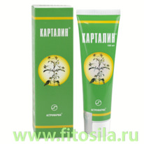 �������� ���� ��� ���� ����, 100 ��