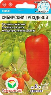 ��������� ��������� �����