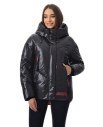 ������ RLR dm00137