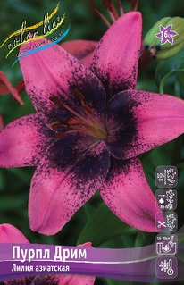 ����� ����� ����