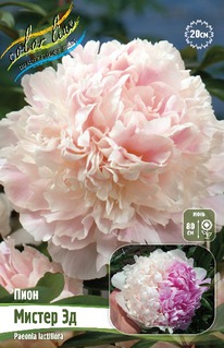 ���� ������ ��, 2/3n