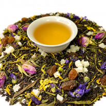 �������� ����