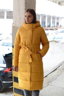 ������ ������