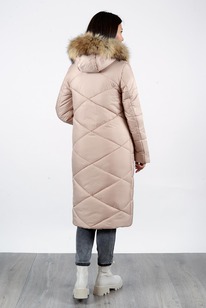 ������ ������