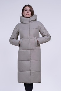 ������ ������