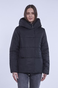 ������ ����