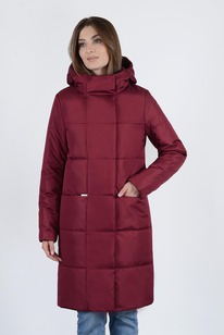 ���������� ����