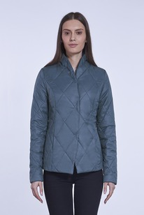 ������ ����