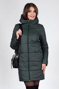 ���������� ����