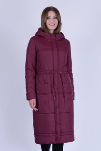 ������ ����