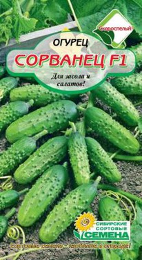 �������� F1 ������