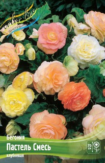 ������� ������� �����