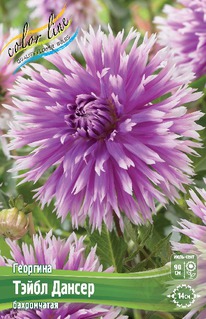 �������� ����� ������, �-� I, �������.