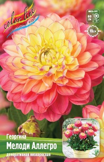 �������� ������ �������, �-� I, ������.