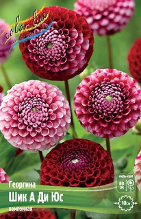 �������� ��� � �� ��, ����, �-� I