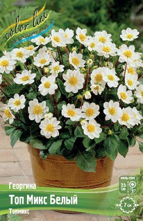 �������� ��� ���� �����, �-� I,