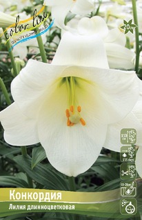 ����� ���������, 12/14, ����.