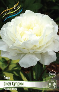 ���� ���� ������, 2/3n